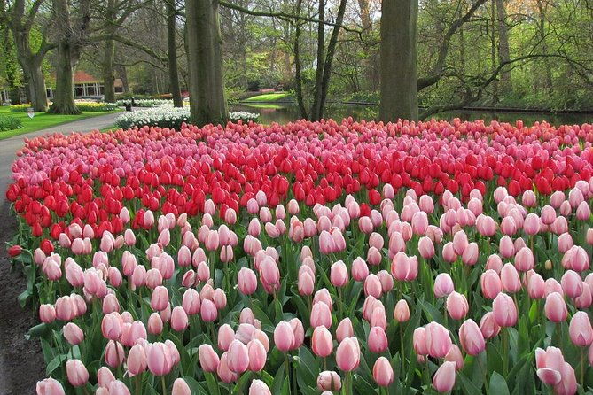 private-day-trip-from-amsterdam-to-keukenhof-with-entrance-tickets