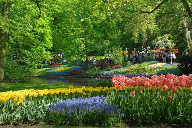private-day-trip-from-amsterdam-to-keukenhof-with-entrance-tickets