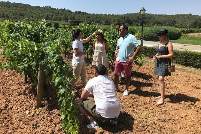 private-day-trip-from-barcelona-to-montserrat