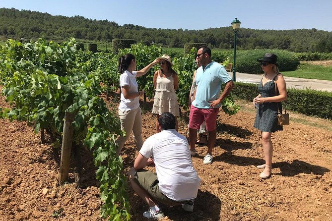 private-day-trip-from-barcelona-to-montserrat