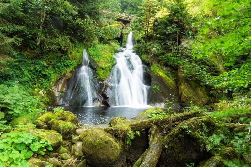 Private day trip from Basel to the Black forest and back - Key Points