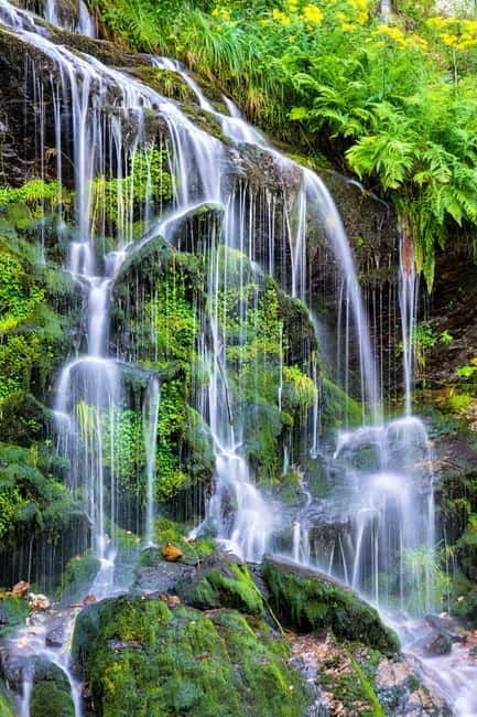 Private day trip from Basel to the Black forest and back - Pricing and Value