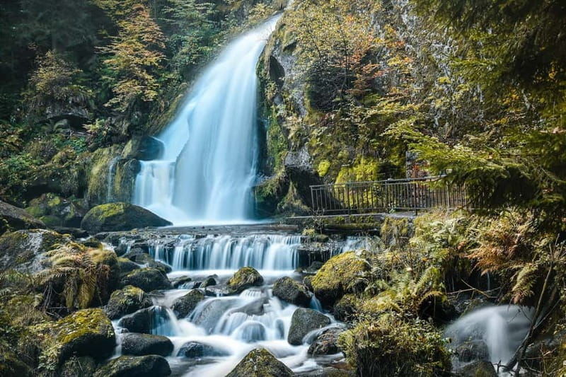 Private day trip from Basel to the Black forest and back - Who Will Love This Tour?