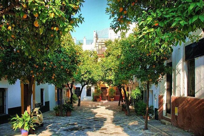 Private Day Trip from Cadiz port to Seville (tickets and transport included) - FAQ