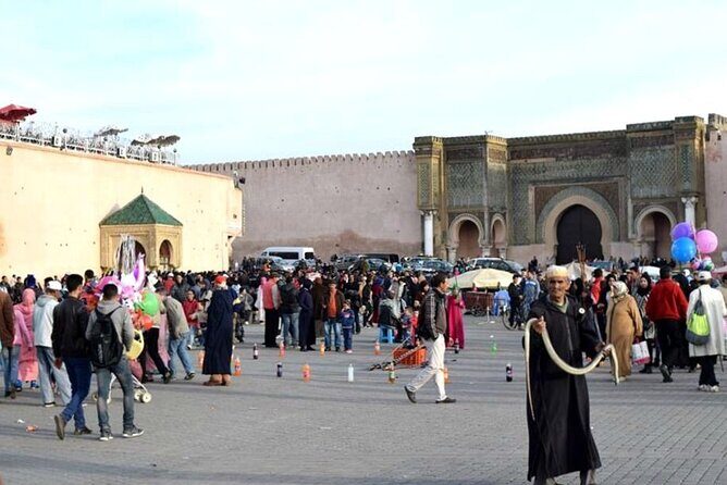 private Day trip from Fez to Volubilis and Meknes (without shopping) - Who Is This Tour Best For?