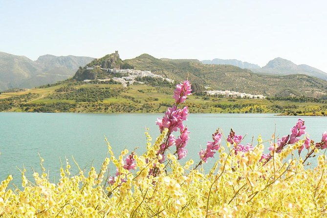 private-day-trip-from-jerez-the-white-towns-of-andalusia