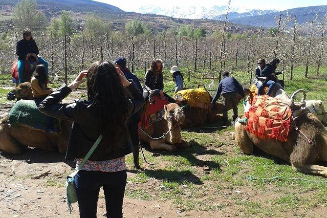 Private Day Trip from Marrakech: Camel Ride and Hike in the High Atlas Mountains - An Introduction to the High Atlas Mountain Experience