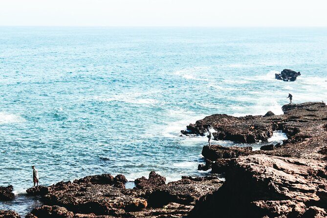 Private Day Trip From Marrakech To Essaouira - Who Should Consider This Tour?