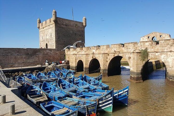 Private day trip from Marrakech to Essaouira - Exploring the Private Day Trip from Marrakech to Essaouira