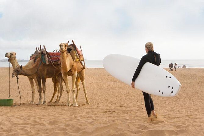 Private Day Trip from Marrakech to Essaouira - FAQs