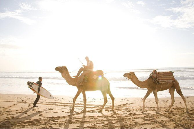 Private Day Trip from Marrakech to Essaouira City - Final Thoughts