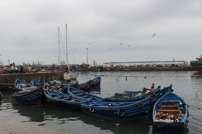 Private Day trip from Marrakech to Essaouira - Discovering Essaouira: A Practical Guide to the Private Day Trip from Marrakech