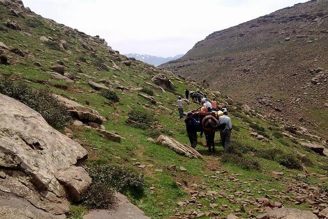 Private Day trip from Marrakech to Imlil & the atlas mountains - An In-Depth Look at the Imlil & Atlas Mountains Day Trip