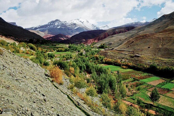 Private Day Trip from Marrakech to the Atlas Mountains - Who This Tour Is Best For