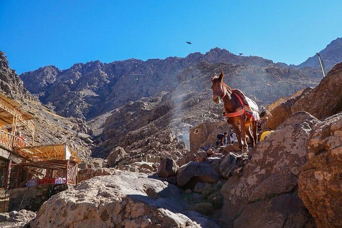 Private Day Trip from Marrakech to the Atlas Mountains - Frequently Asked Questions