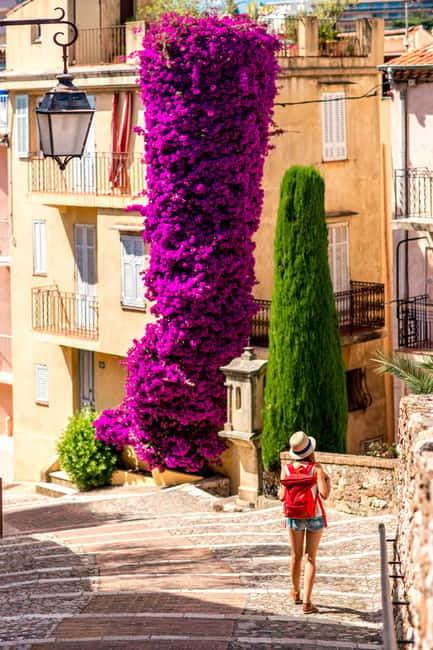 Private day trip from Monaco to the gems of French Riviera - A Closer Look at the Itinerary