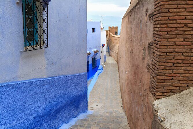Private Day Trip from Rabat to Chefchaouen with Local Guide - Insights from Reviewers  
