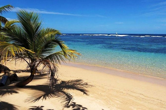 private-day-trip-from-san-jose-to-cahuita-national-park-caribbean-coast