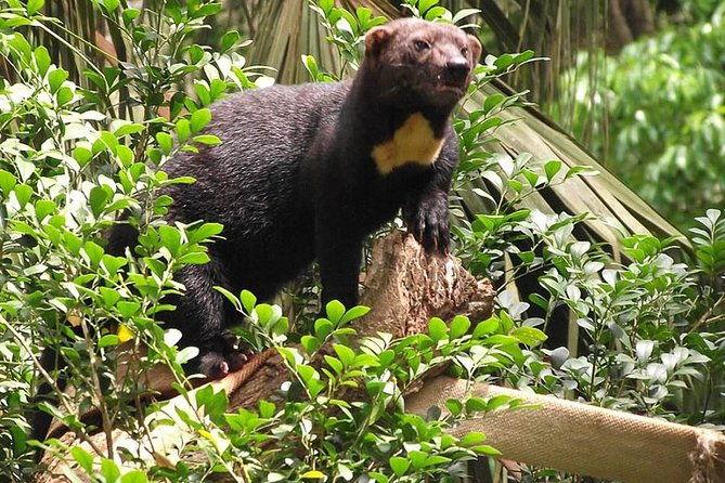 private-day-trip-from-san-jose-to-cahuita-national-park-caribbean-coast