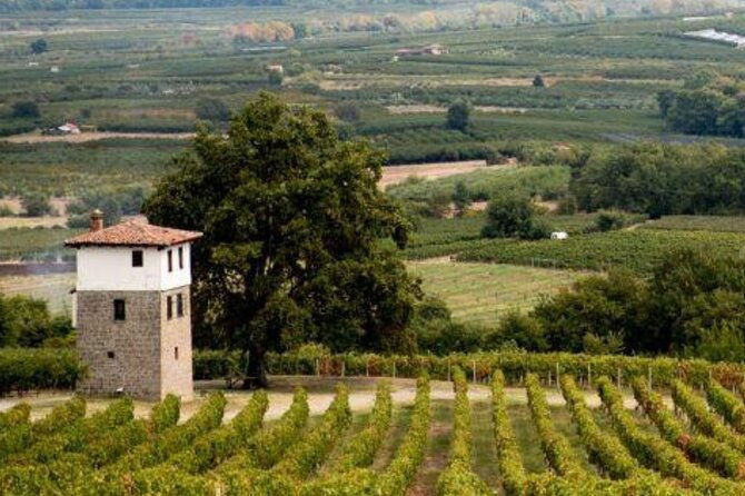 private-day-trip-from-thessaloniki-to-vergina-naousa-and-edessa