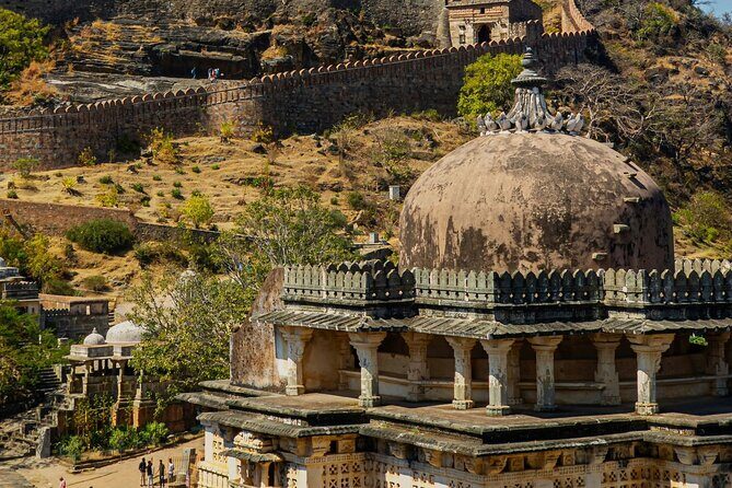 Private Day Trip from Udaipur to Kumbhalgarh Fort and Ranakpur - What Makes This Tour Stand Out?