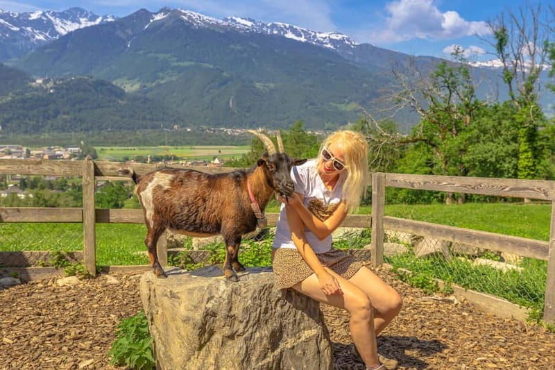 Private day trip from Zurich to Heidiland and Vaduz - Heididorf: An Authentic Swiss Fairytale