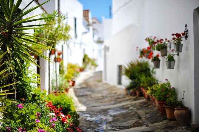 *Private Day Trip* Gibraltar and Vejer from Cádiz - Who Should Consider This Tour?
