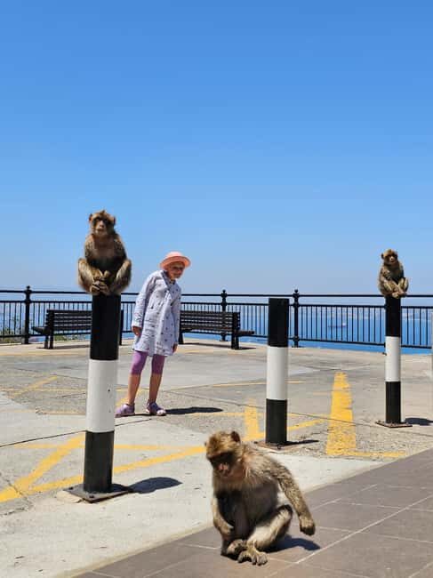 Private Day Trip: Gibraltar & (Tangier) Morocco from Seville - Who Is This Tour Best For?