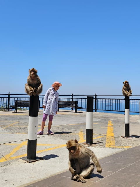 private-day-trip-gibraltar-tangier-morocco-from-seville