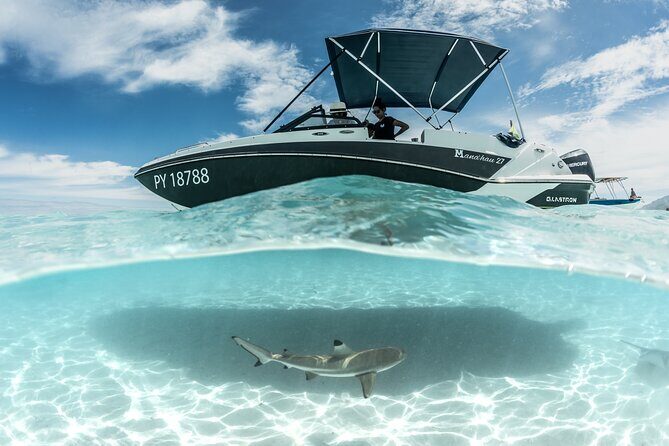 Private Day Trip Hike and Boat in Moorea - The Sum Up