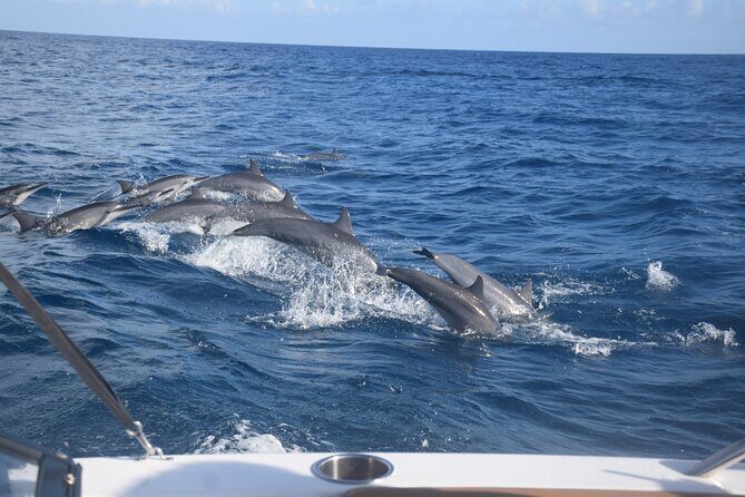 Private Day Trip Hike and Boat in Moorea - FAQs