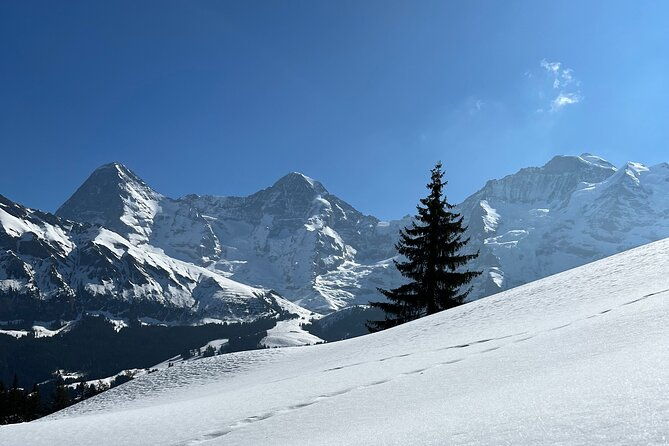 private-day-trip-in-the-heart-of-the-alps-jungfrau-region