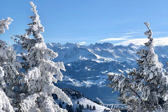 private-day-trip-in-the-heart-of-the-alps-jungfrau-region