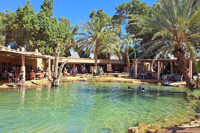 Private Day Trip Ksar Ghilane Oasis - Key Points