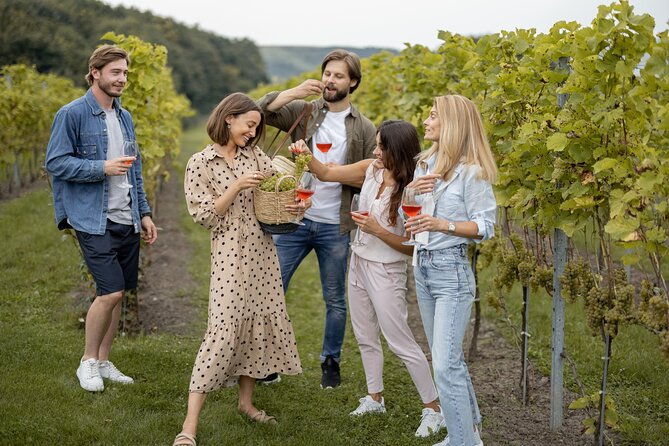 private-day-trip-mendoza-wineries-opt-airfare-from-buenos-aires