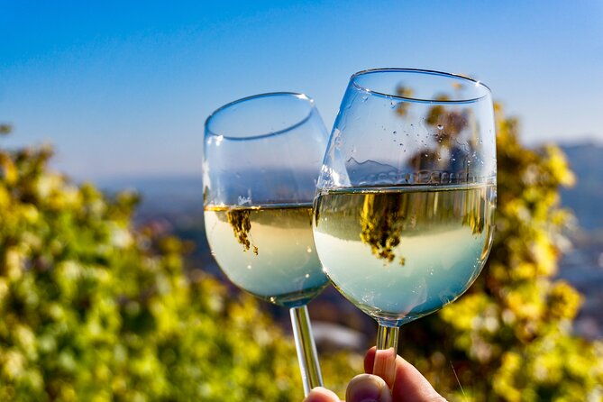 private-day-trip-mendoza-wineries-opt-airfare-from-buenos-aires