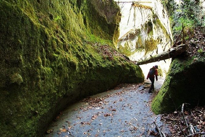 private-day-trip-of-lake-shikotsu-and-moss-canyon