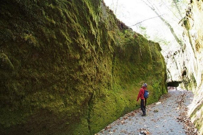 private-day-trip-of-lake-shikotsu-and-moss-canyon