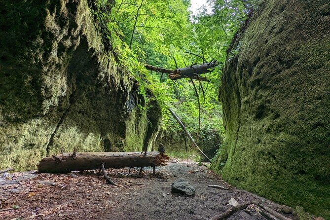 private-day-trip-of-lake-shikotsu-and-moss-canyon