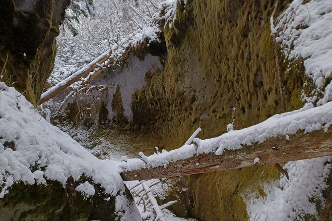 private-day-trip-of-lake-shikotsu-and-moss-canyon
