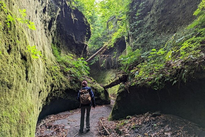 private-day-trip-of-lake-shikotsu-and-moss-canyon
