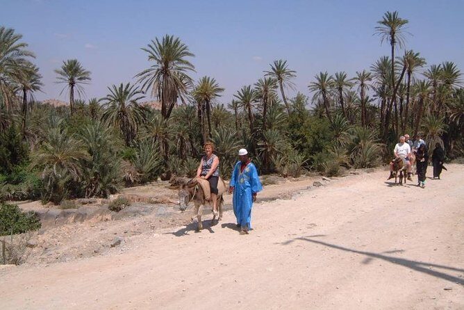 Private Day Trip of Taroudant & Tiout from Agadir - Who Will Love This Tour?
