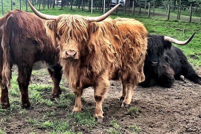 private-day-trip-outlander-filming-locations-from-edinburgh