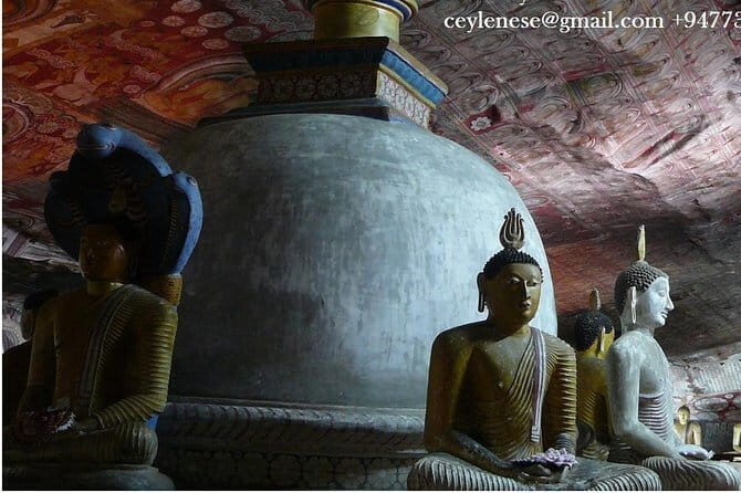 Private day trip Sigiriya, Dambulla with Kaudulla national park safari - Why This Tour Offers Great Value