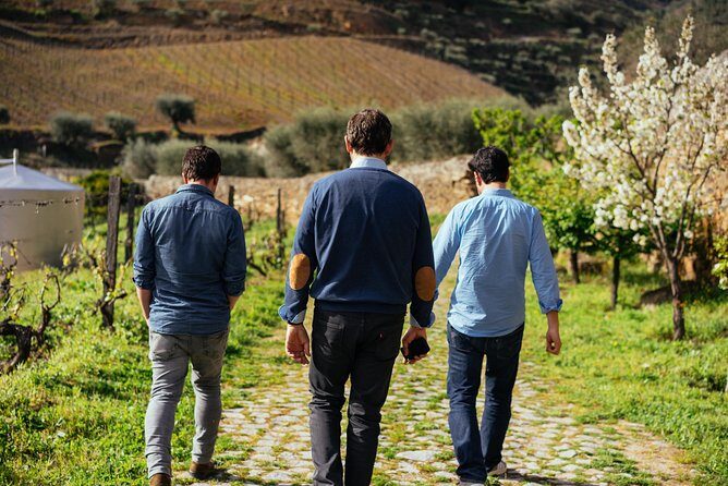 PRIVATE Day Trip Through Enchanting Douro Valley by Car & Boat - An In-Depth Look at the Douro Valley Private Tour