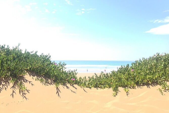 Private : Day trip to Agadir from Marrakech - The Sum Up