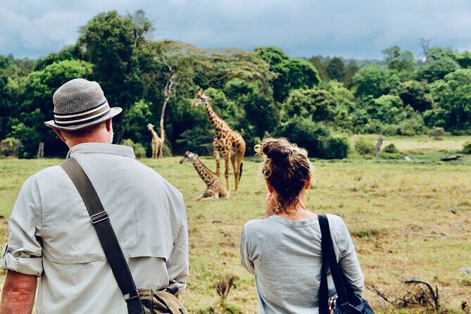 Private Day Trip to Arusha National Park with a Walking Safari - A Detailed Look at the Private Day Trip to Arusha National Park