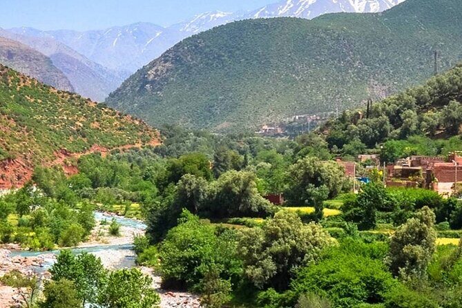 Private Day Trip to Atlas Mountains - The Itinerary Breakdown: What to Expect