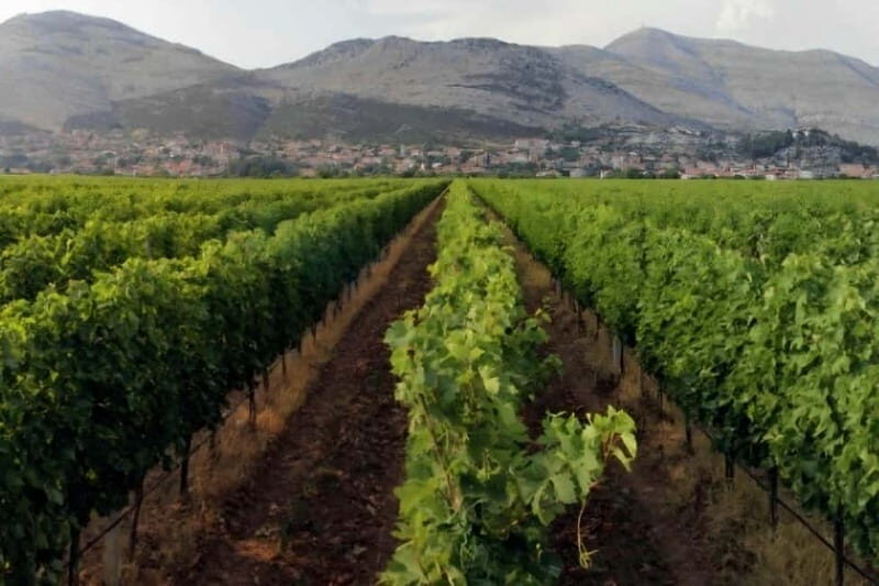 Private Day Trip to Bosnia: Wine, Culture & Local Lunch - FAQ