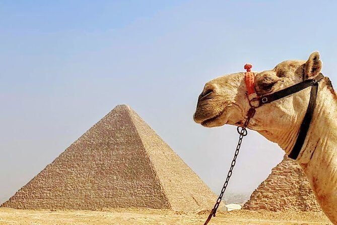 Private day trip to Cairo from Hurghada - A Long Day, But Worth It